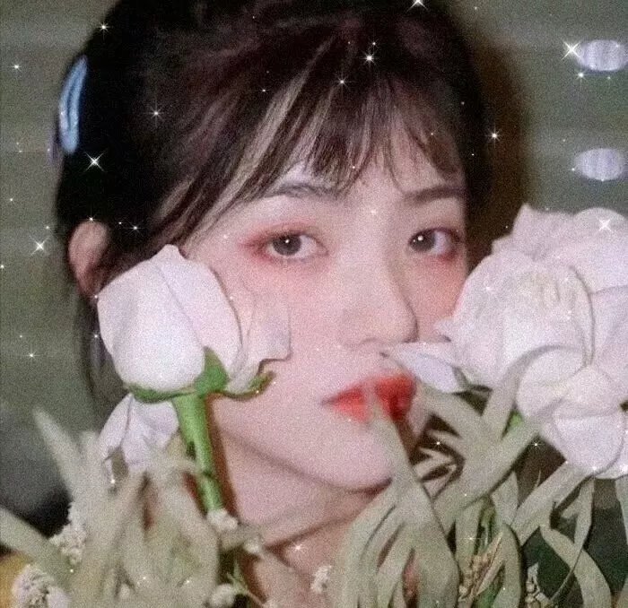 灼灼韶华