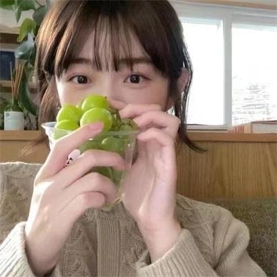 拳王奋斗史